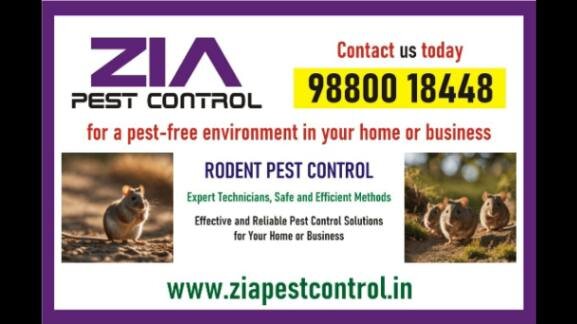 Kammanahalli Rodent Pest Control | Upto 15% Off on Pa