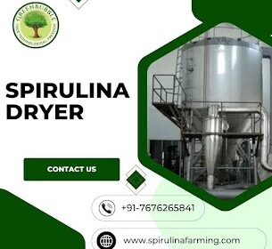 Spirulina-Dryer