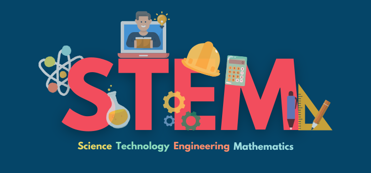 Stem education in India