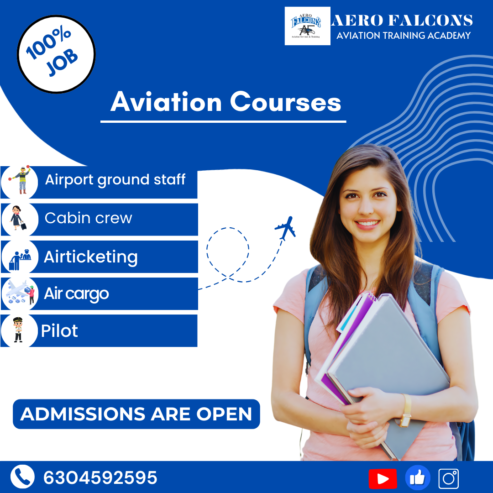 Aero Falcons Aviation Academy