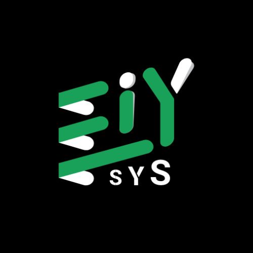 Tally services -Eiy sys