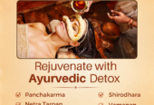 Experience the Best of Ayurvedic treatments in Kerala,