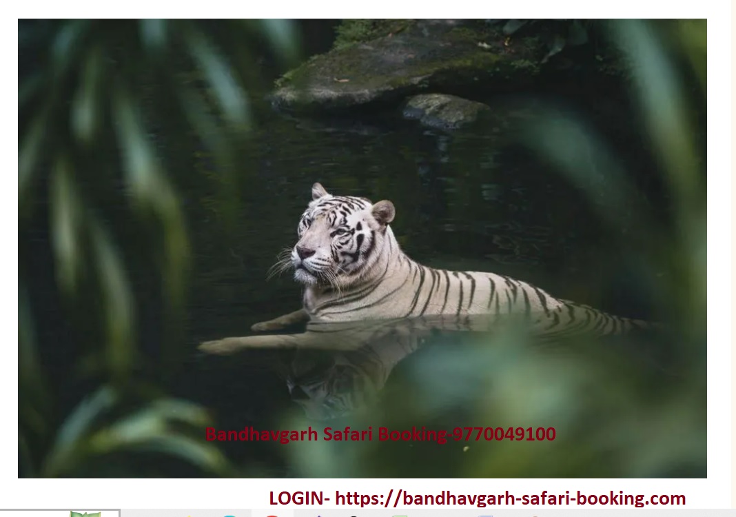 bandhavgarh Safari ticket jungle safari