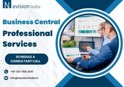 Business-Central-Professional-Services1