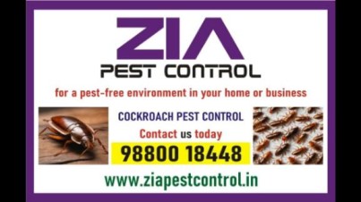 Cockroach Pest cleaning service | AMC