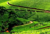 Topslip,Valparai,Athirapally Tour Package