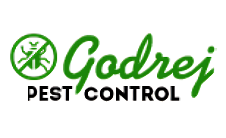 Pest Control Service in Gurgaon