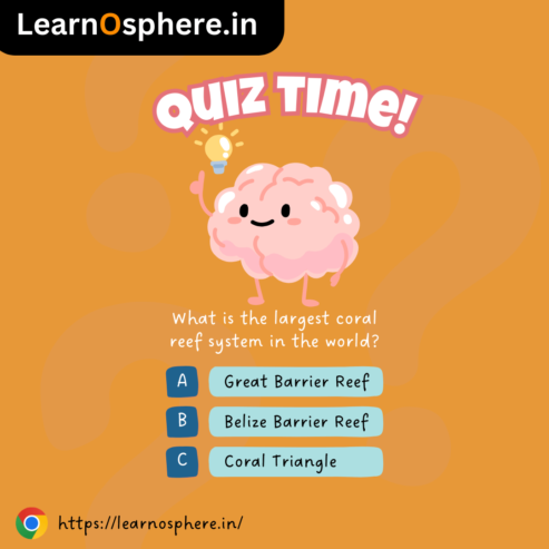 Exciting Online Quiz for Class 4: Learn & Play!