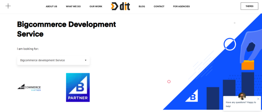 BigCommerce Design & Development Services – DIT India