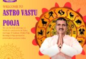 Best Astrologer in Noida | Expert Kundli Matching Serv