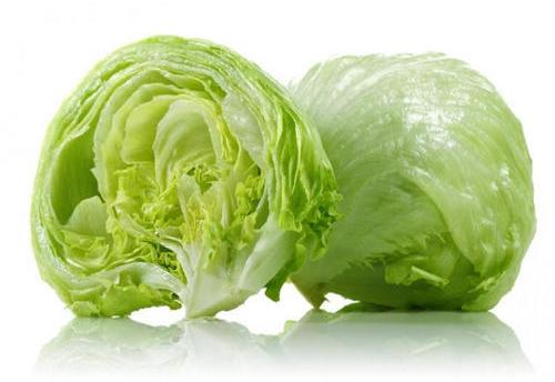 Find Reliable Lettuce Manufacturers in Delhi with Bhar