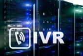 Choosing the Right IVR Service Provider for Scalable