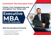 Executive MBA: A Path for Career Advancement in India