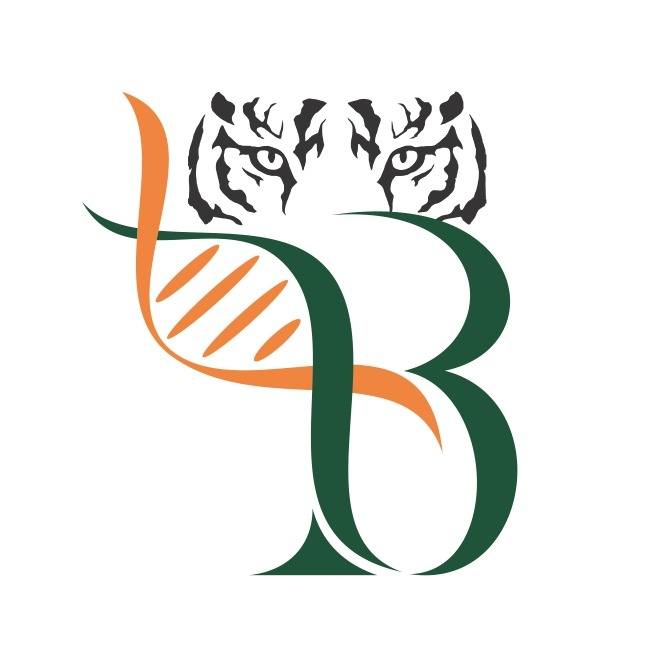 MYD88 PCR Kit | MYD88 Mutation Detection Kit | 3B Blac