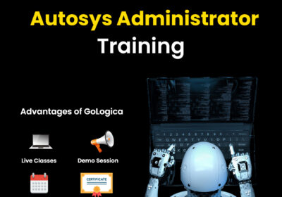 Autosys-Administrator-Training-copy-3-1