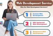 Software Development Company In Indore, India