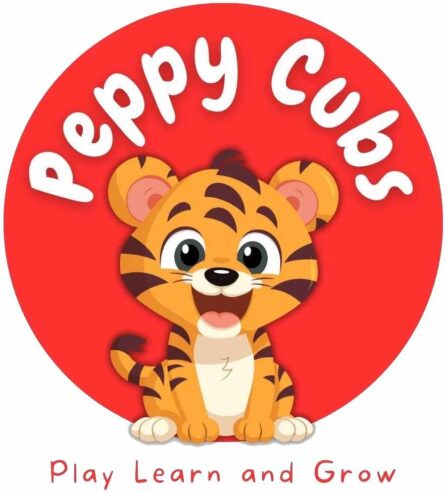 Adventure zone in Gurgaon | Peppy Cubs