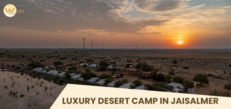 Luxury Desert Camp In Jaisalmer