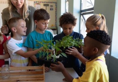 The-Seedlings-Montessori-School