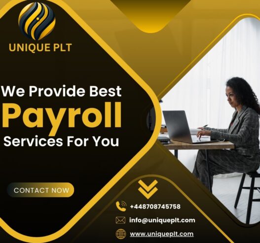 Reliable payroll sloutions