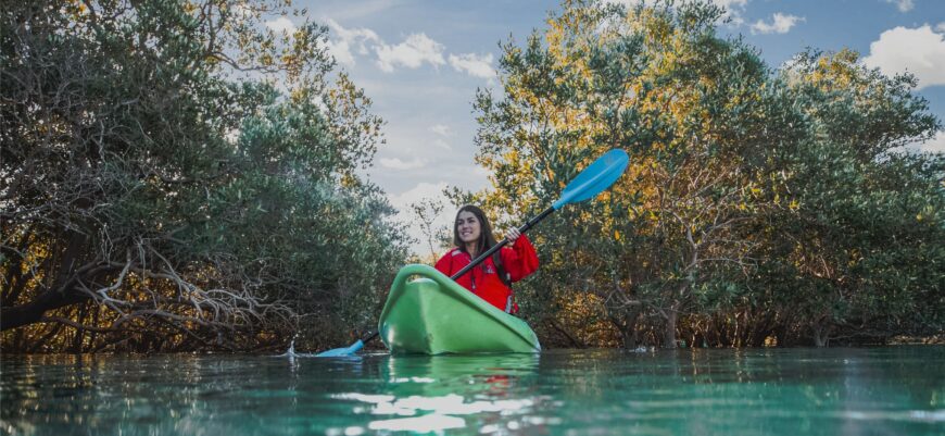 Explore the Stunning Mangroves and Serene Waterways