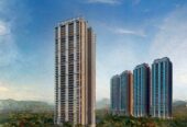 DLF South Privana Gurgaon