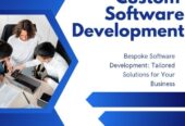 Software Development Company In Indore, India