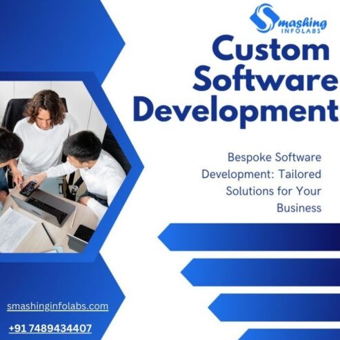 Software Development Company In Indore, India