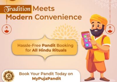 pandit-ji-online