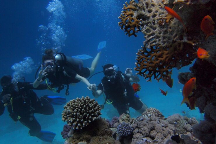 Explore the Underwater Wonders at Grande Island