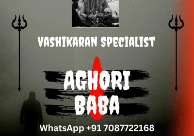 vashikaran-specialist