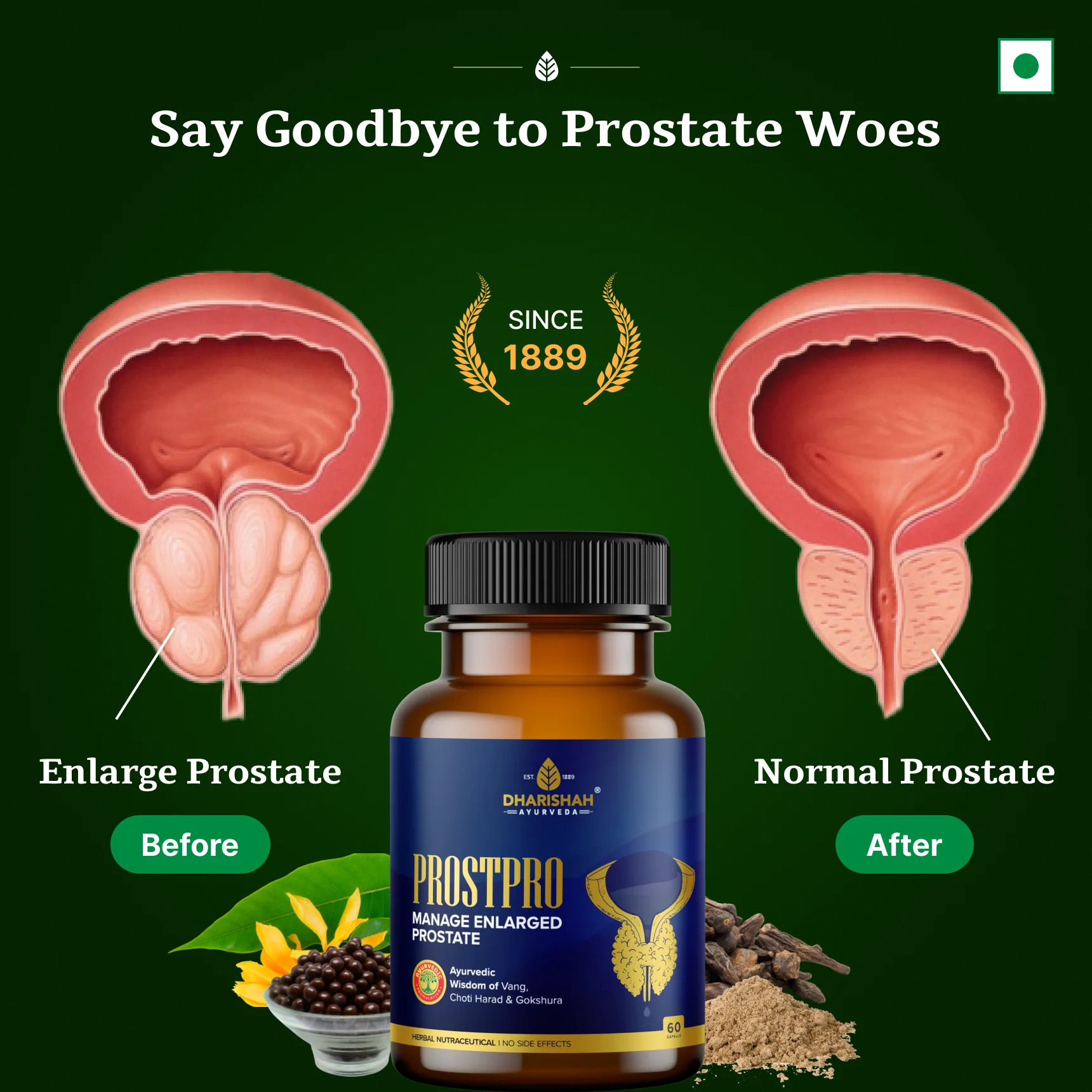 Trusted Ayurvedic Prostate Care for Better Wellness!