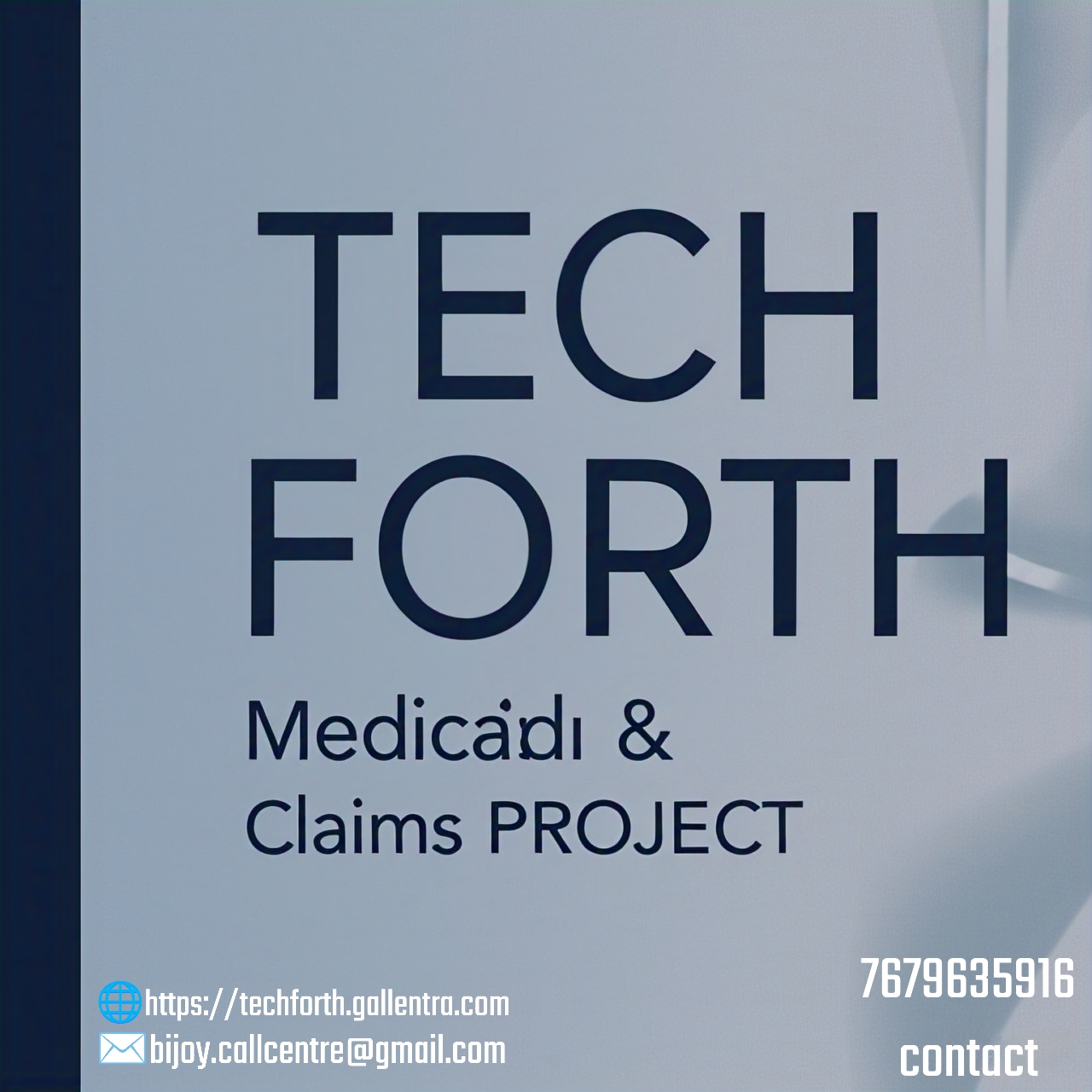 Project TypeInternational Non-Voice