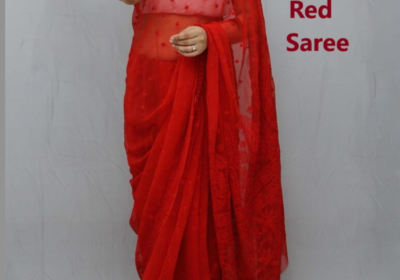 Hand-Embroidered-Lucknowi-Chikan-Red-Saree