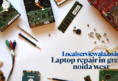 Localservicewala
