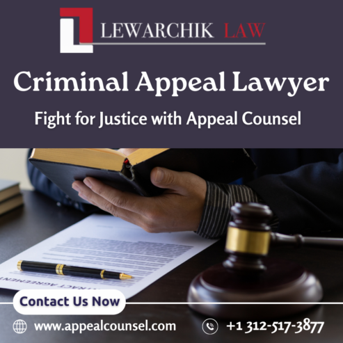 Criminal Appeal Lawyer – Fight for Justice