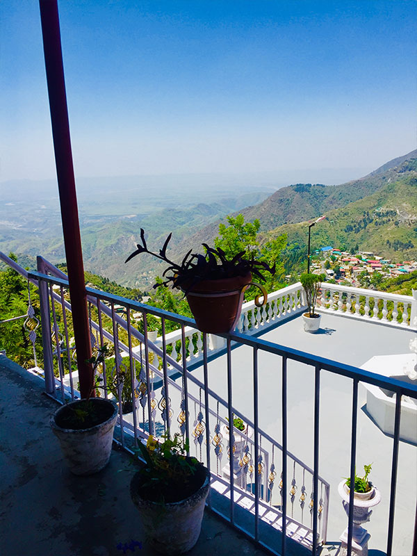 Whitehouse Estates And Builders