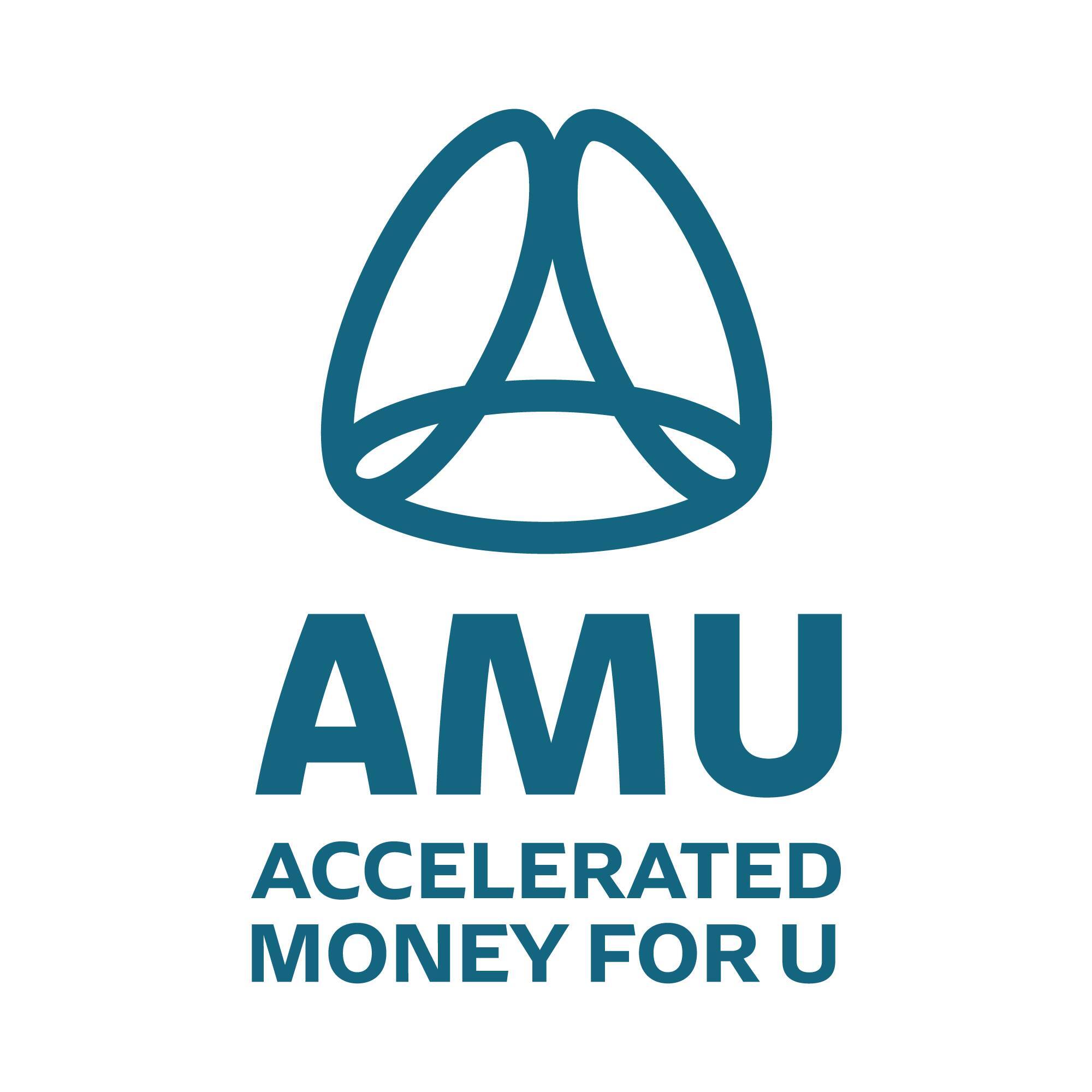 Easy E-Rickshaw Financing with AMU – Drive Your Future