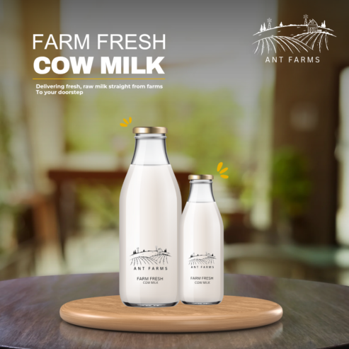 Pure Cow Milk