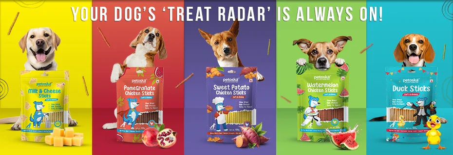 Shop the Best Dog Treats Online: Premium Options for Y