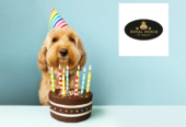 Royal Pooch Pet Bakery