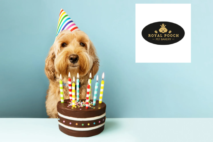 Royal Pooch Pet Bakery