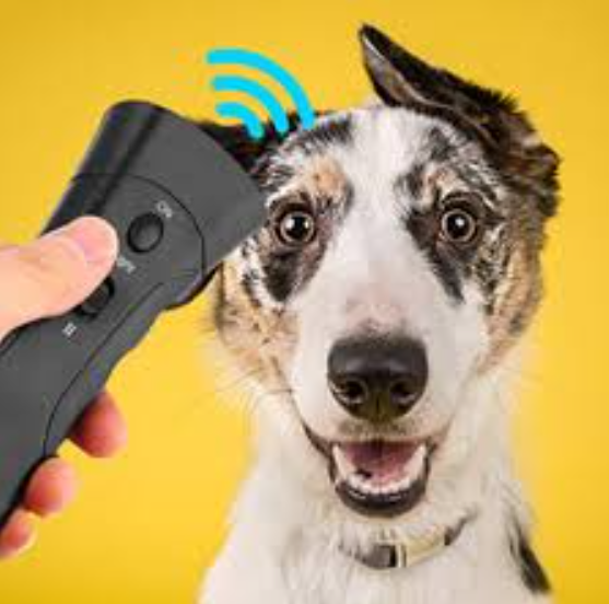 BarxBuddy Manual – Step-by-Step Guide to BarxBuddy Tra