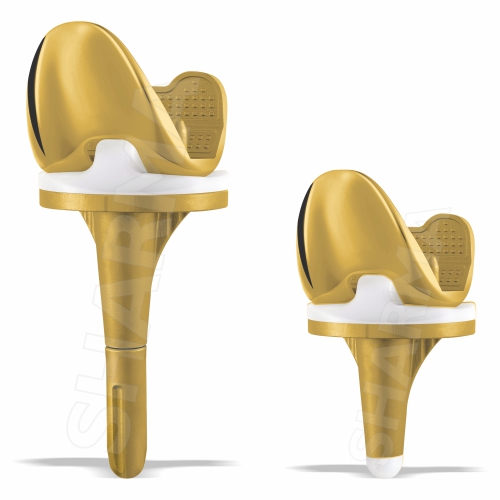 Buy High-Quality Total Knee Replacement Implants from