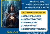 Online Astrologer in India