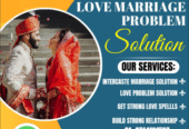 Online Astrologer in India