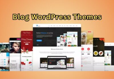 Blog-WordPress-Themes