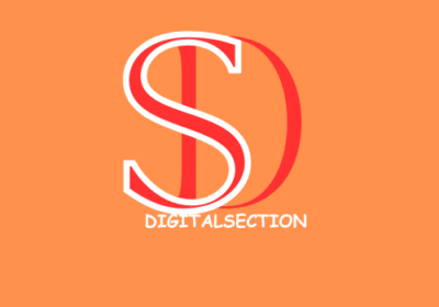 DIGITSLSECTION-Logo