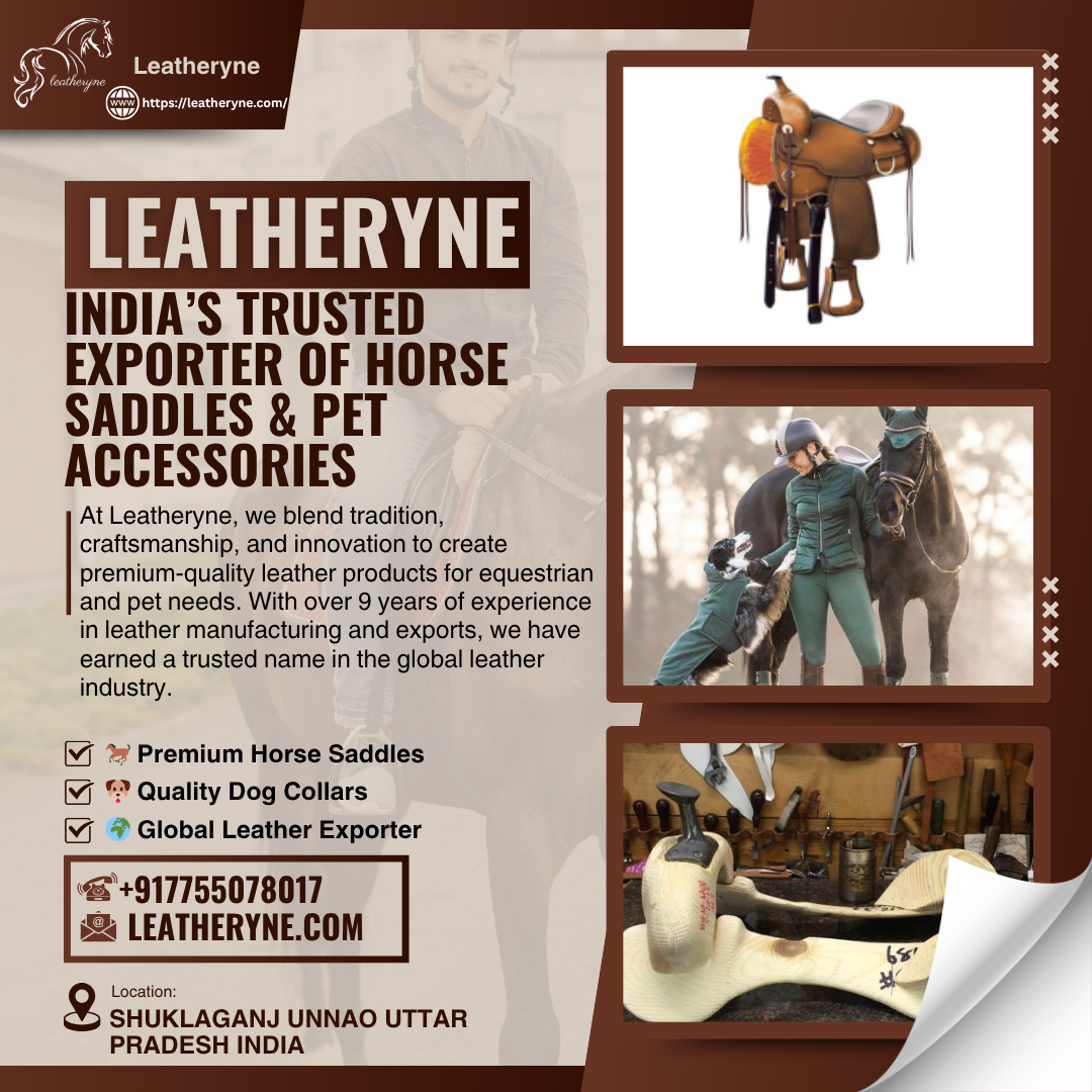 Premium Leather Horse Saddles & Dog Collars – Leathery