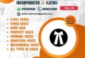 Legal and Financial Consultant